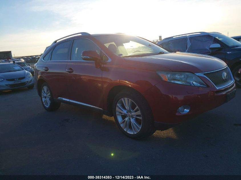 LEXUS RX 450H    *JTJBC1BA6A2404645*