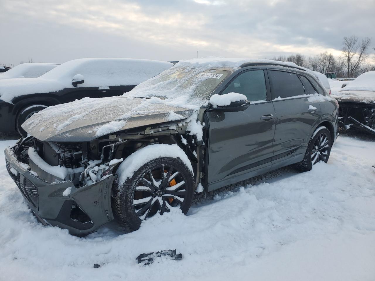 AUDI E-TRON CHR   *WA1VABGE0PB005711*