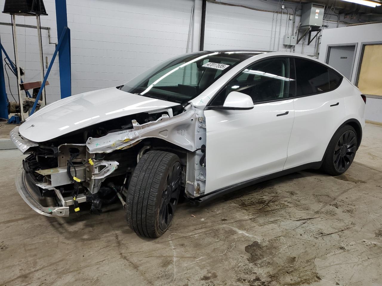TESLA MODEL Y   *7SAYGDEF8PF598890*