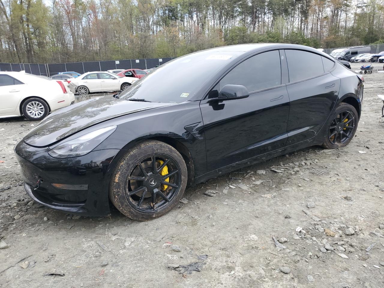 TESLA MODEL 3   *5YJ3E1EA5PF426168*