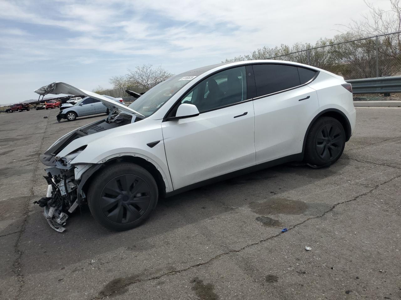 TESLA MODEL Y   *7SAYGDED1SF216870*
