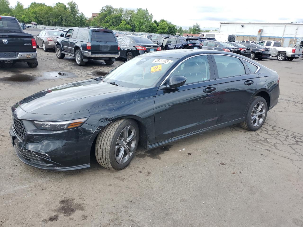 HONDA ACCORD EX  *1HGCY1F39RA019961*