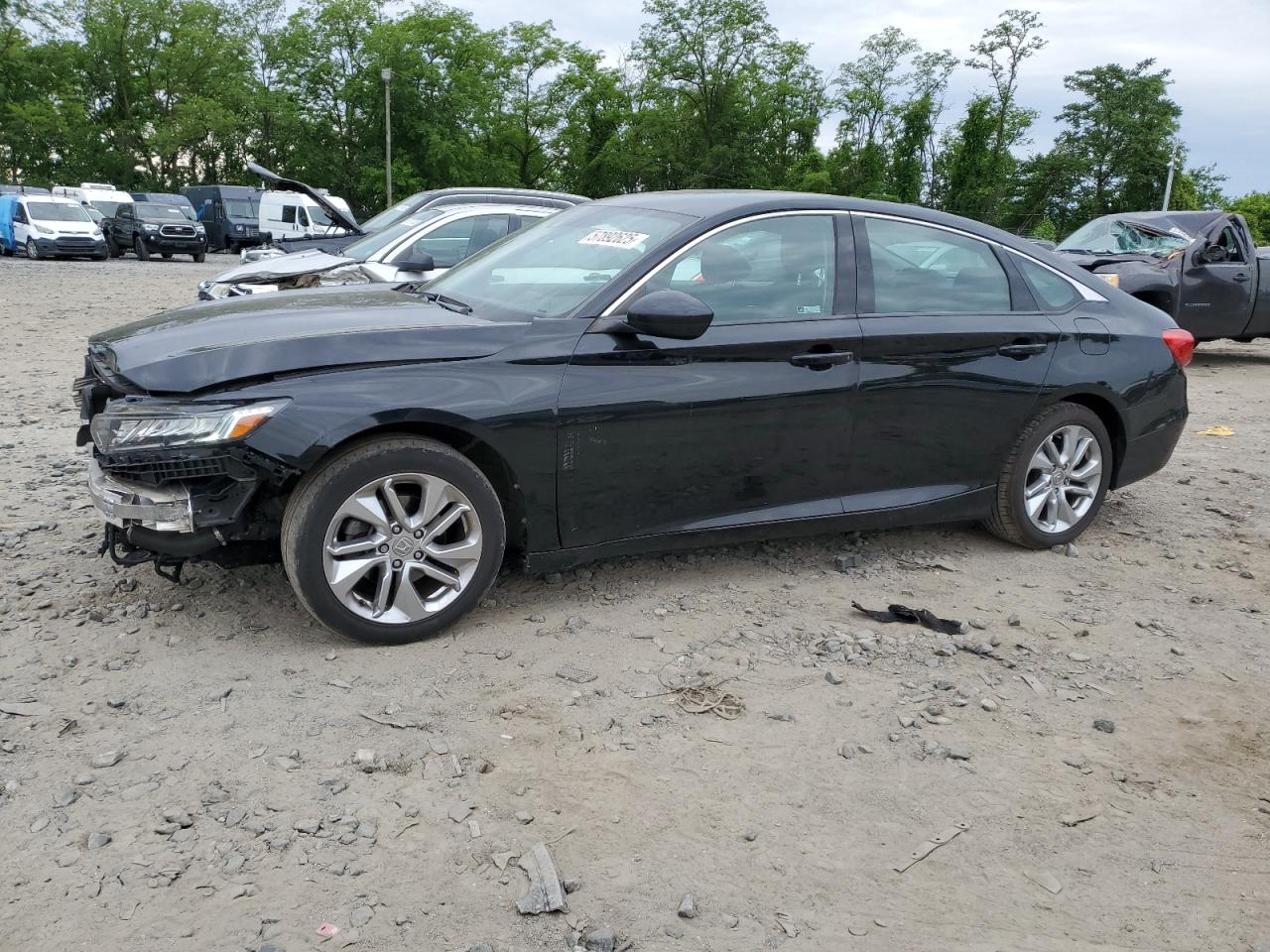 HONDA ACCORD LX  *1HGCV1F16JA221135*