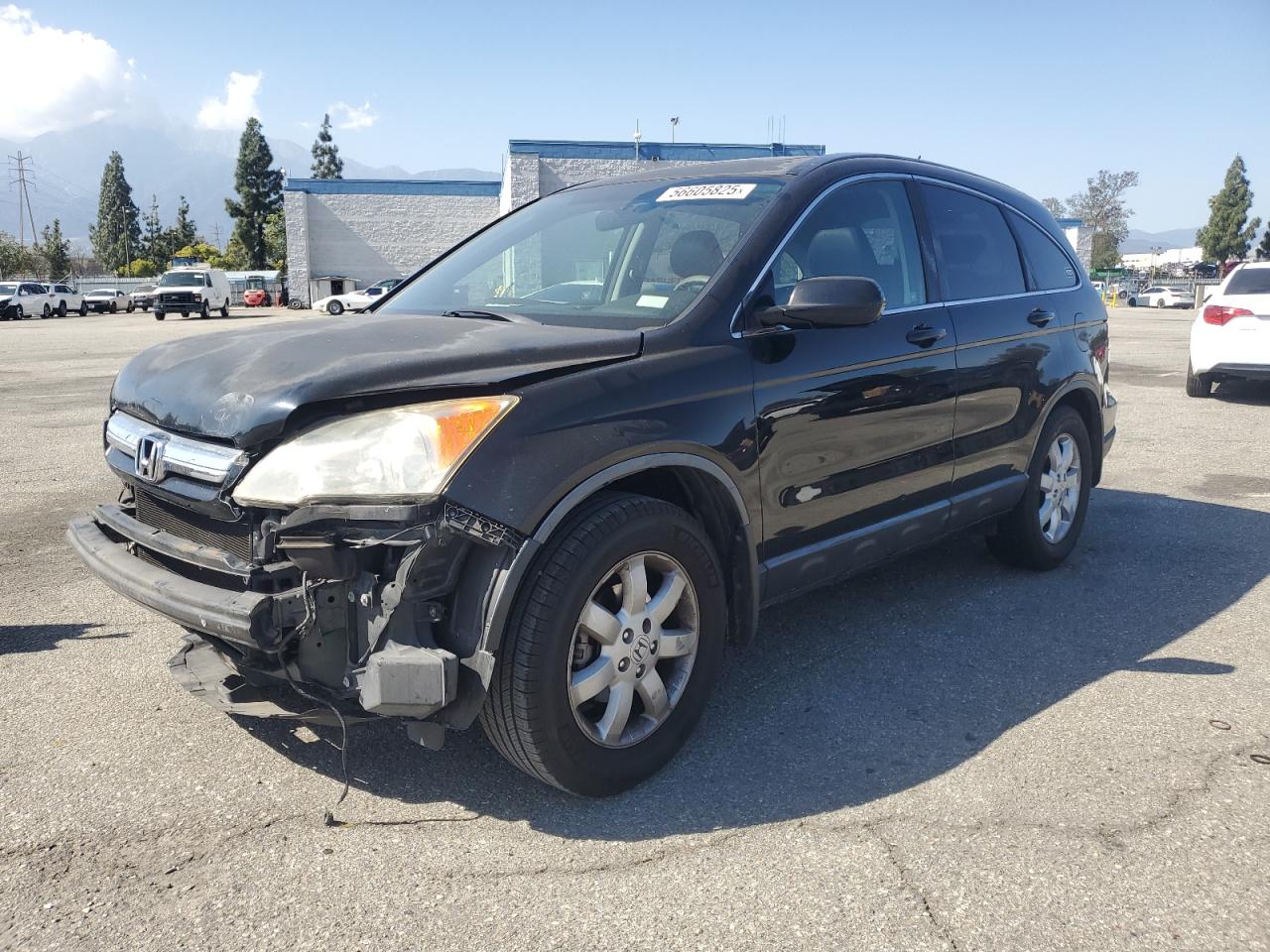 HONDA CRV CR-V EXL  *JHLRE387X9C006656*