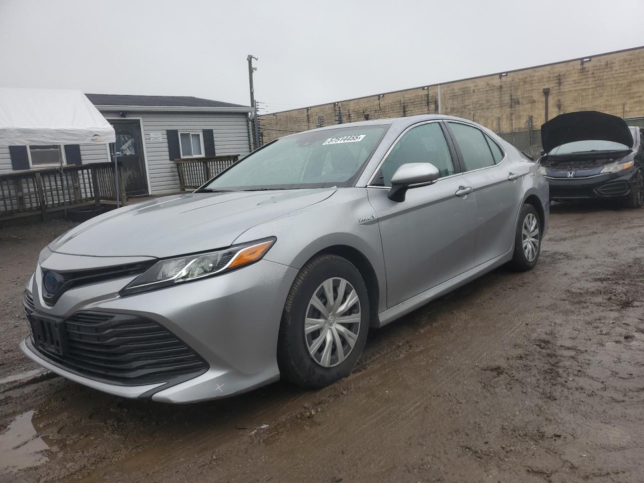 TOYOTA CAMRY LE  *4T1E31AK6LU521266*