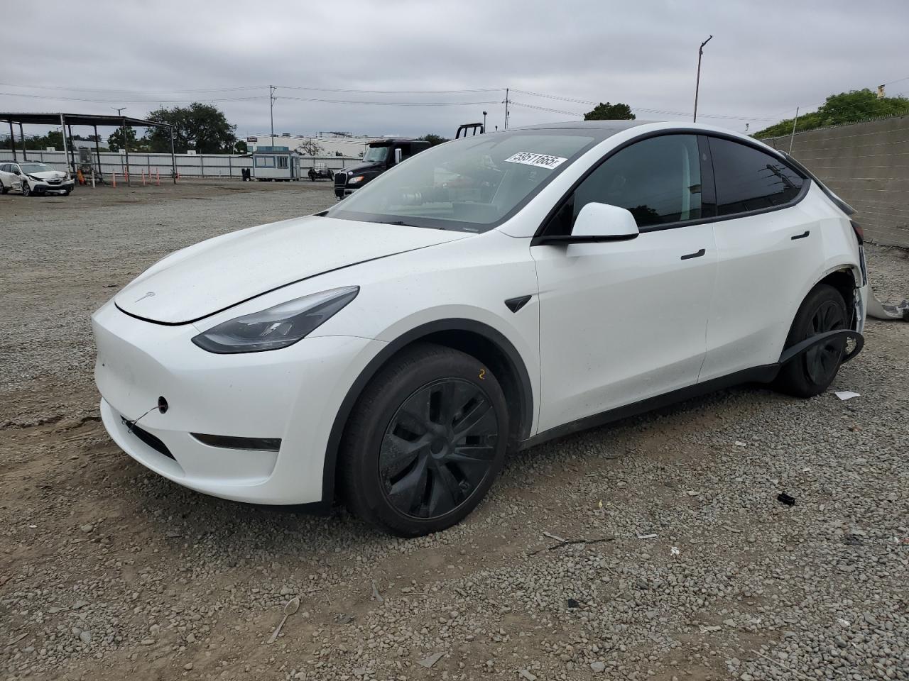 TESLA MODEL Y   *7SAYGDED3SF277542*
