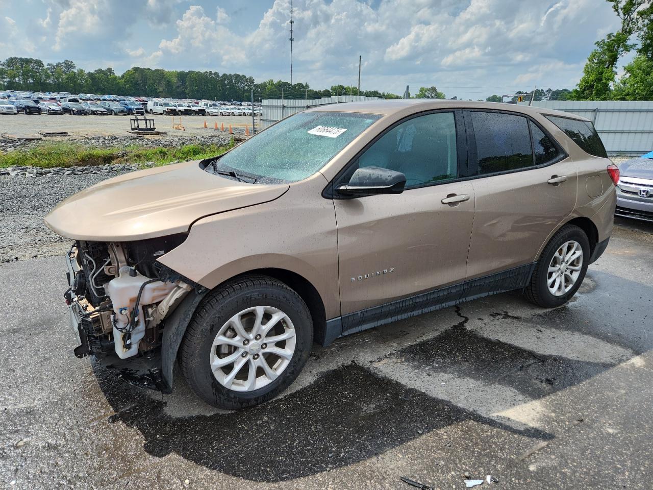 CHEVROLET EQUINOX LS  *3GNAXHEV8JL316874*