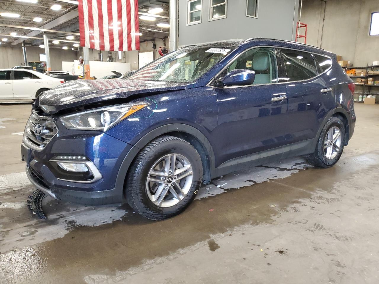 HYUNDAI SANTA FE S  *5XYZUDLB5HG499111*