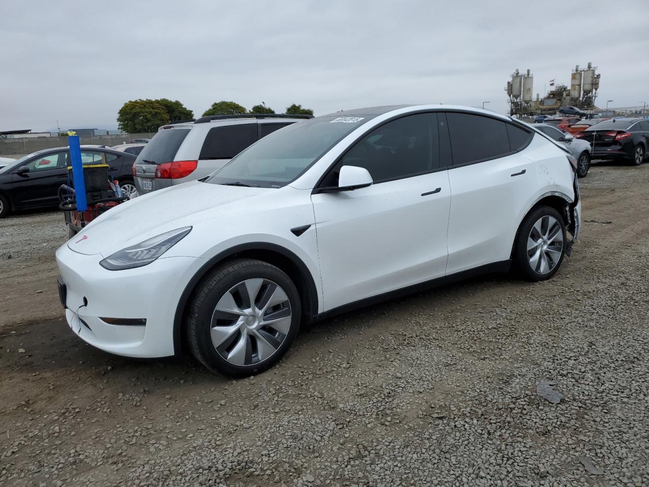 TESLA MODEL Y   *7SAYGDEEXPA111029*