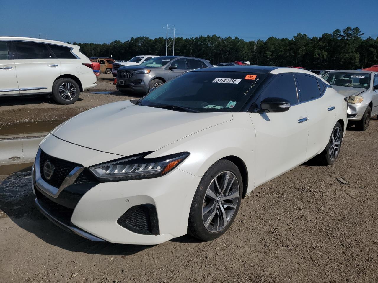 NISSAN MAXIMA SL  *1N4AA6DV5LC376115*