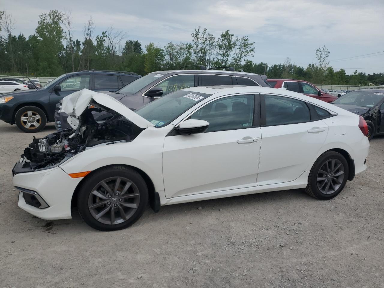 HONDA CIVIC EXL  *19XFC1F71LE206192*