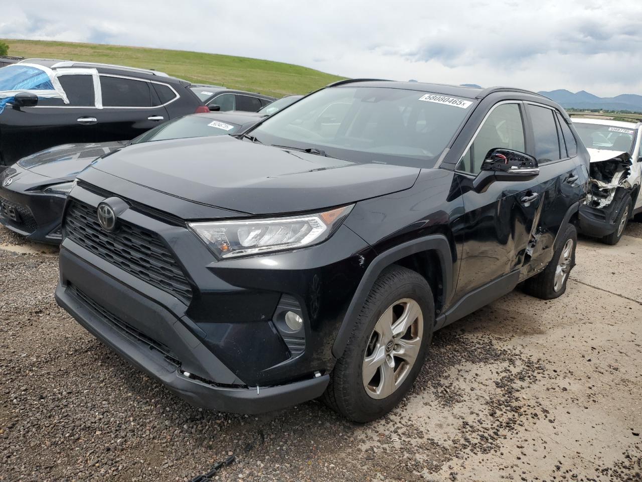TOYOTA RAV4 XLE  *JTMP1RFV6KD007288*