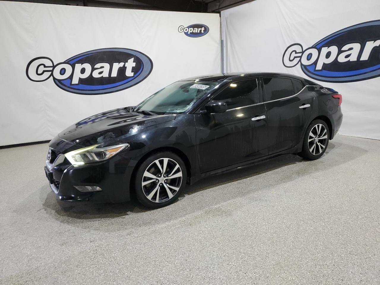 NISSAN MAXIMA 3.5  *1N4AA6AP5GC427849*