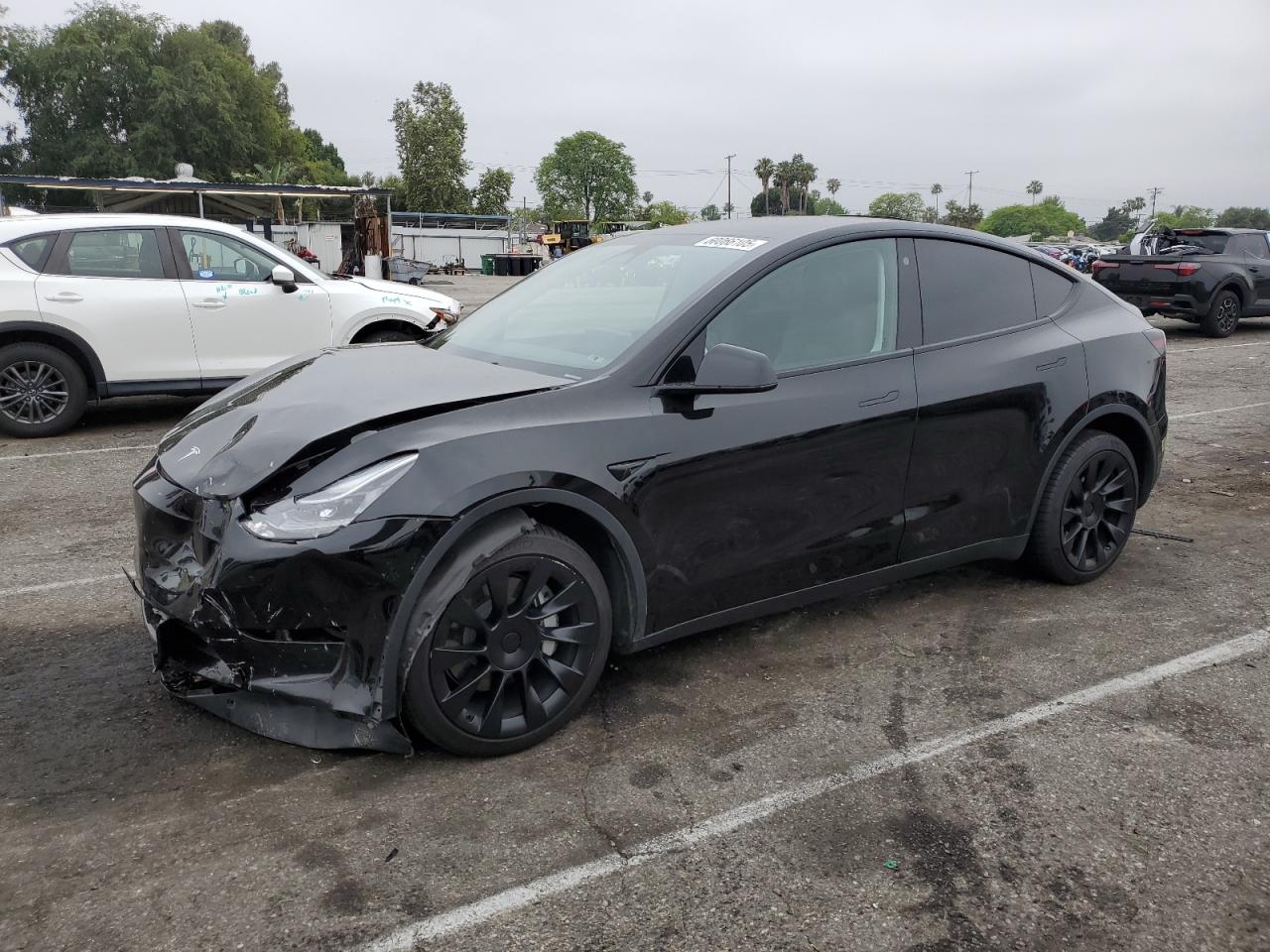 TESLA MODEL Y   *7SAYGDEE4PA109941*