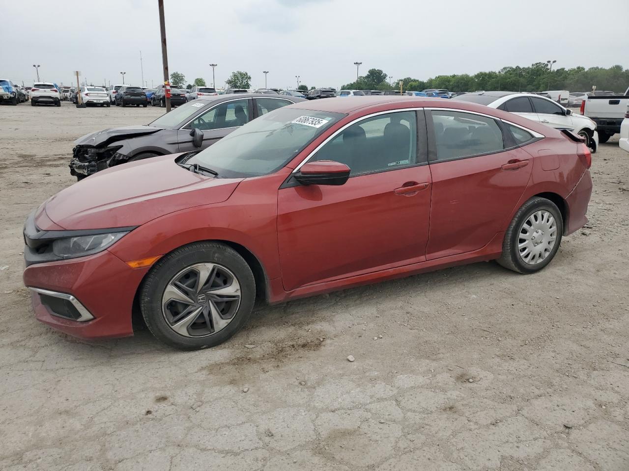 HONDA CIVIC LX  *19XFC2F65LE200084*