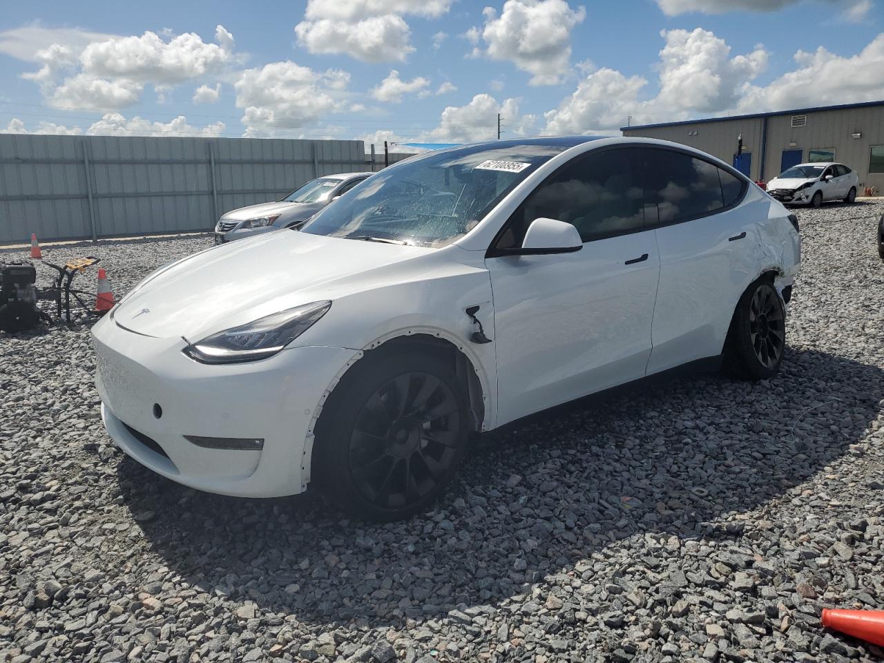 TESLA MODEL Y   *5YJYGDEE6MF251509*