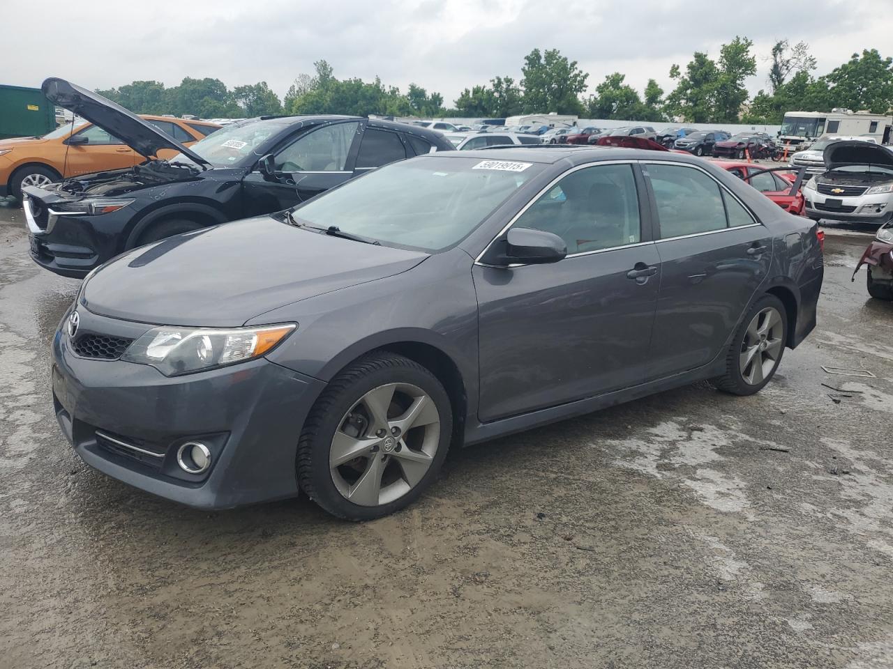 TOYOTA CAMRY L  *4T1BF1FK3EU788502*