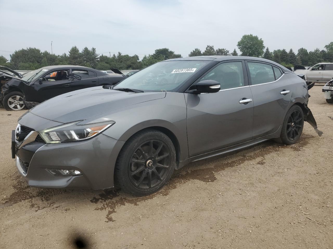 NISSAN MAXIMA 3.5  *1N4AA6AP7HC429099*