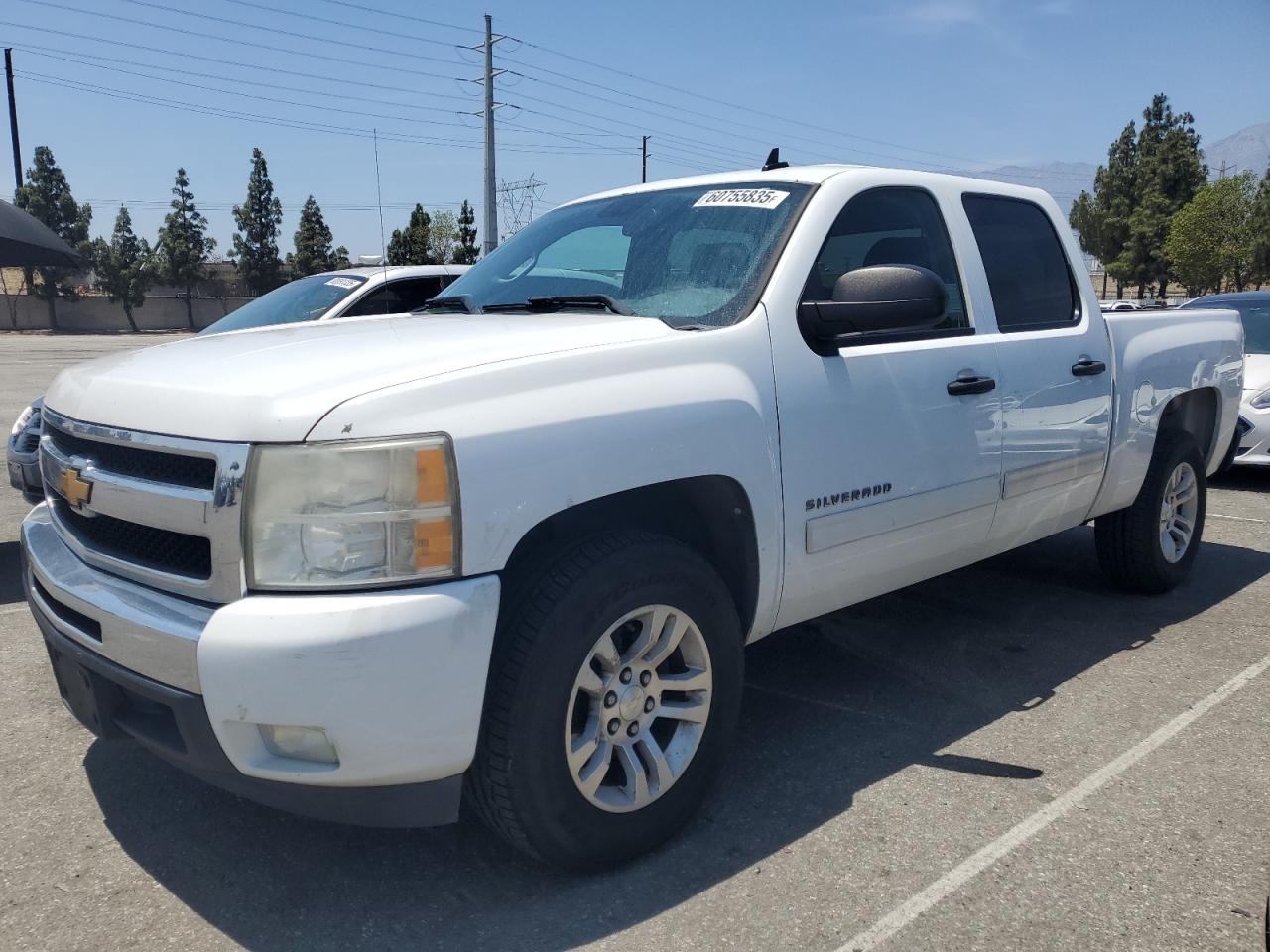 CHEVROLET SILVERADO  *3GCPCSE03BG263219*