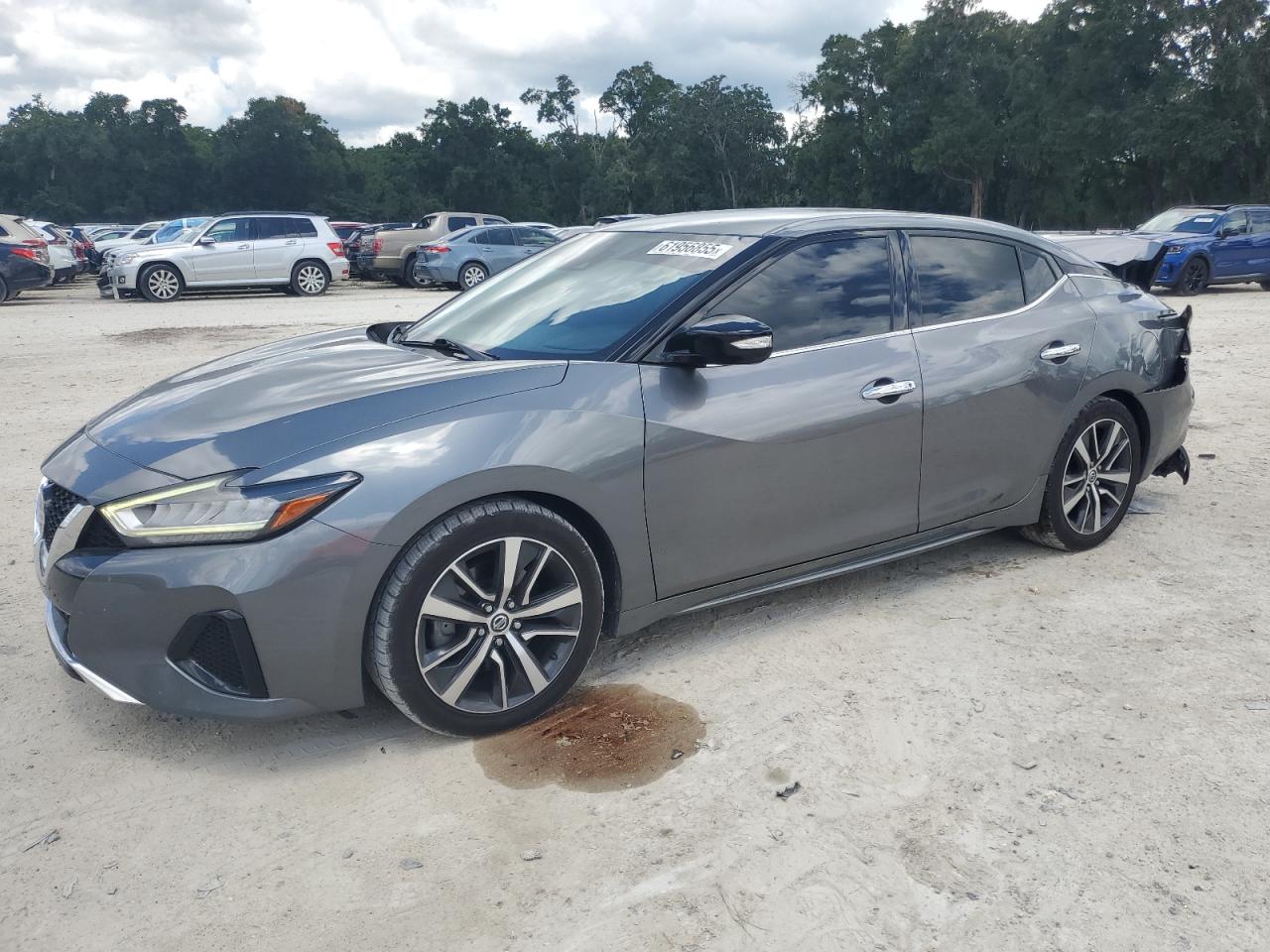 NISSAN MAXIMA SV  *1N4AA6CV2LC364053*