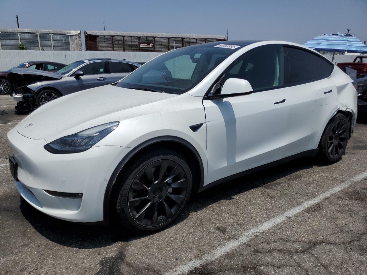 TESLA MODEL Y   *7SAYGDEEXNF385444*