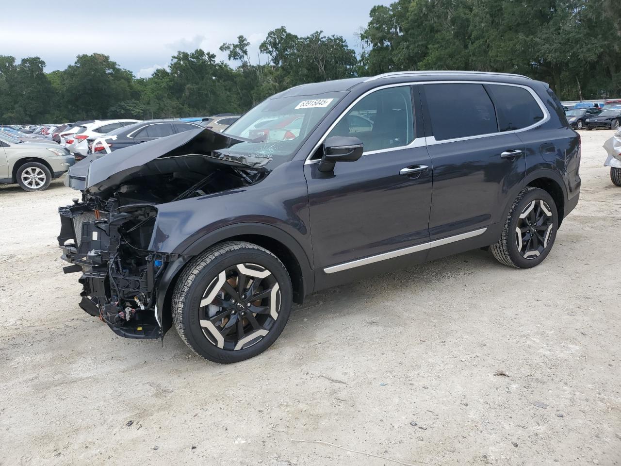 KIA TELLURIDE   *5XYP64GC7SG658108*