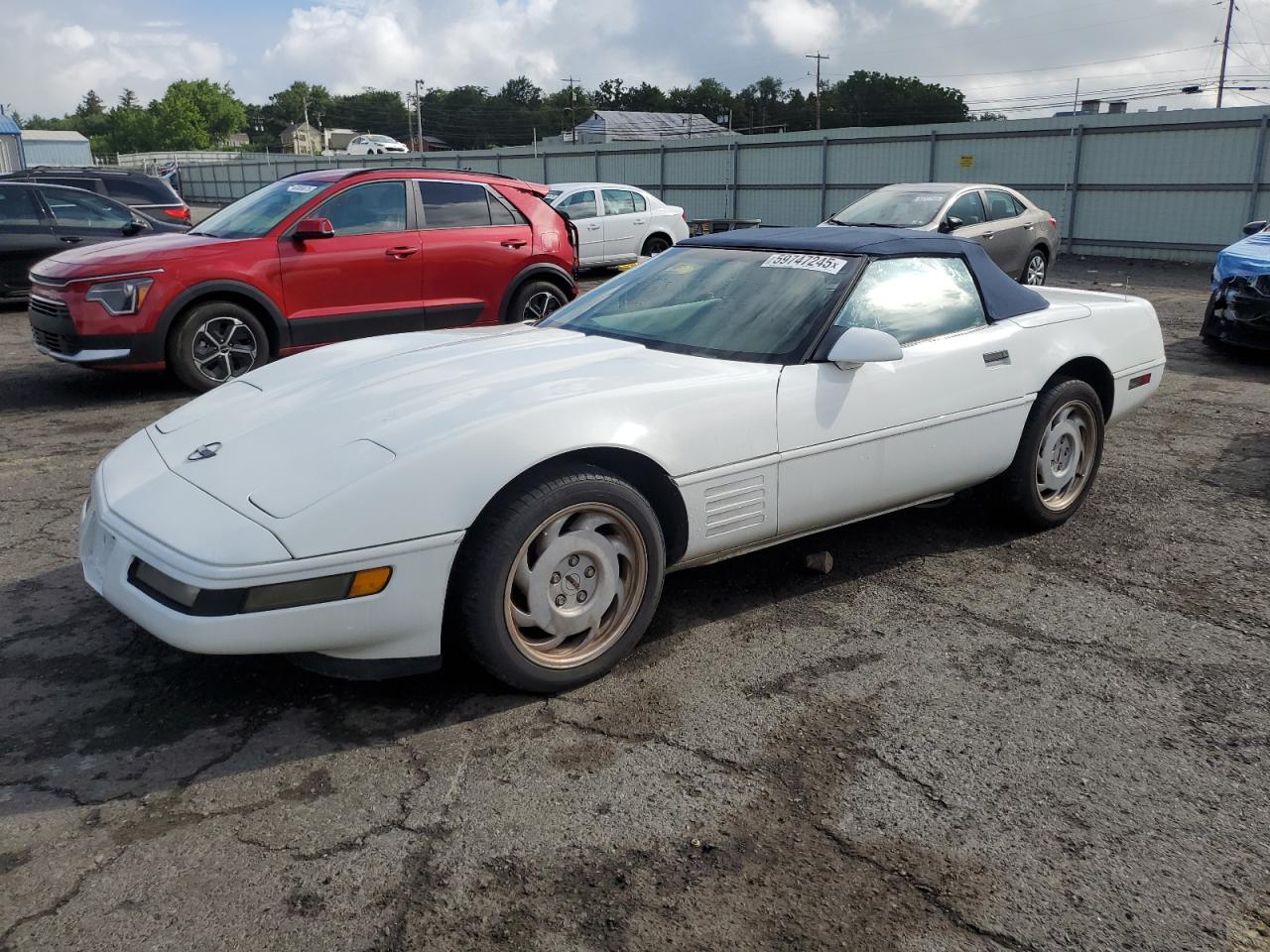 CHEVROLET CORVETTE   *1G1YY33P1N5115456*