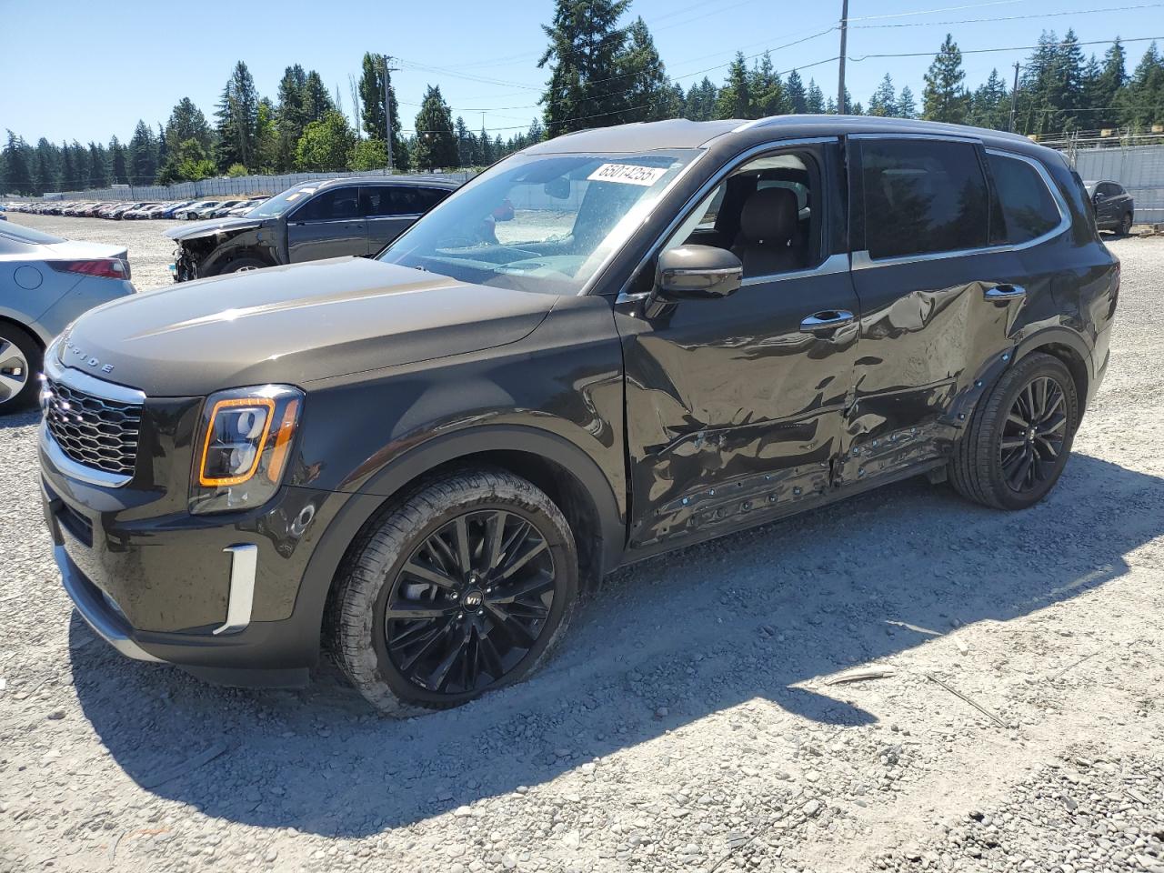 KIA TELLURIDE   *5XYP5DHC6LG051409*