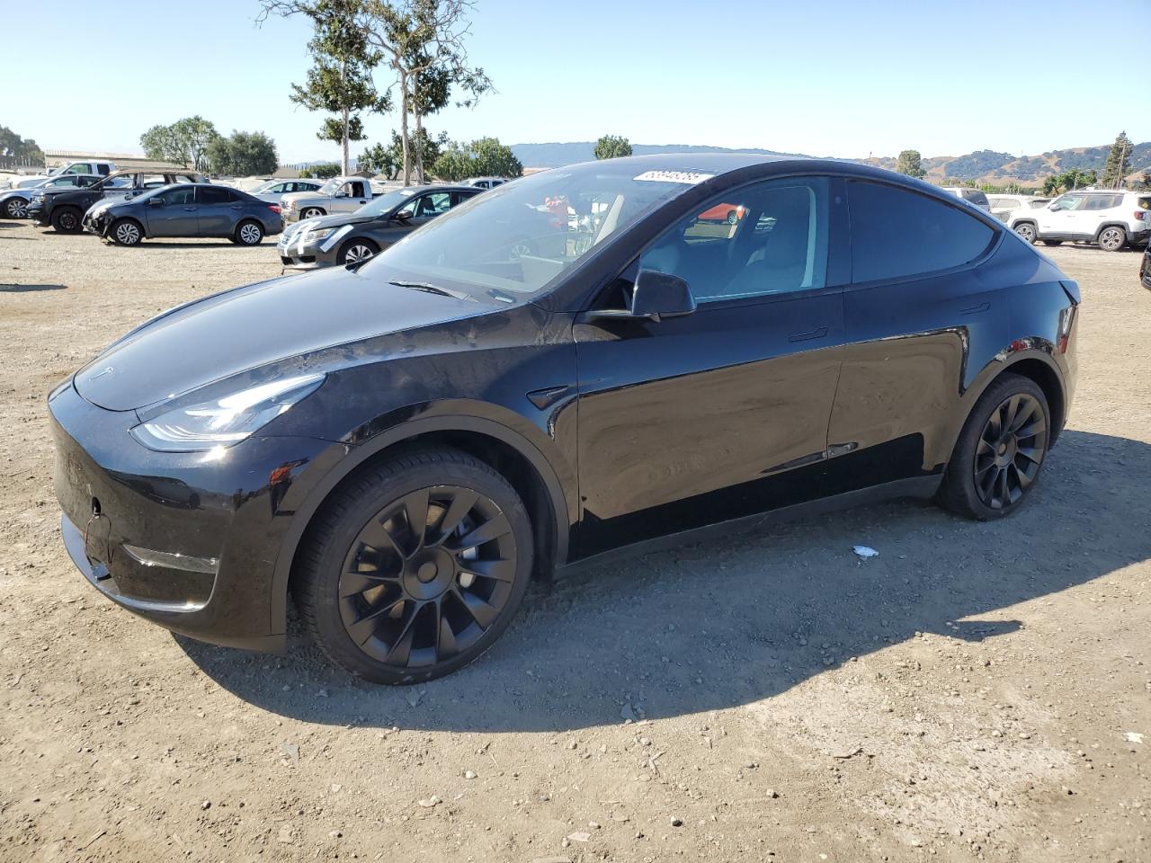TESLA MODEL Y   *7SAYGDEE2PA078172*