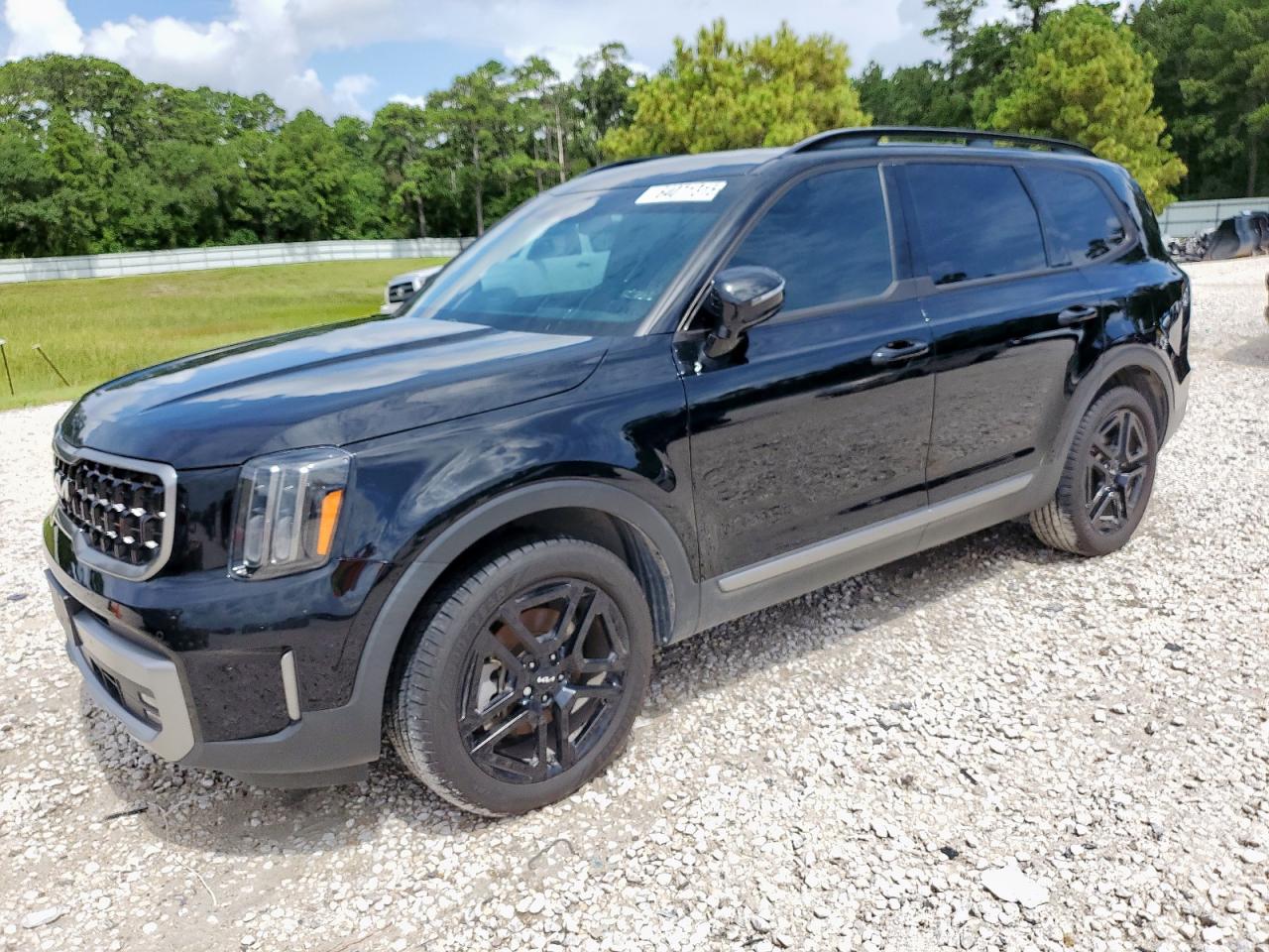 KIA TELLURIDE   *5XYP5DGC7PG374505*