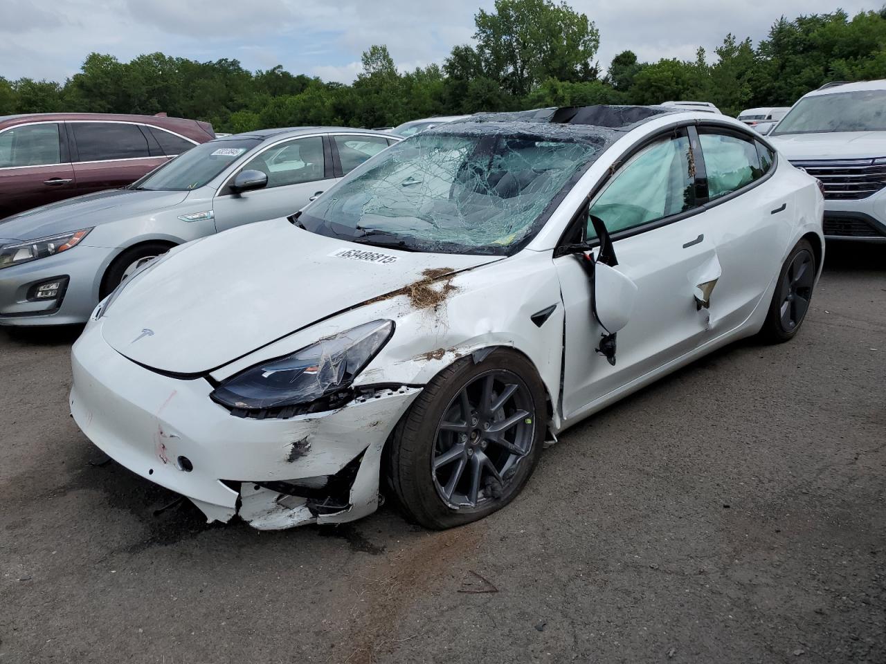 TESLA MODEL 3   *5YJ3E1EB5NF169065*