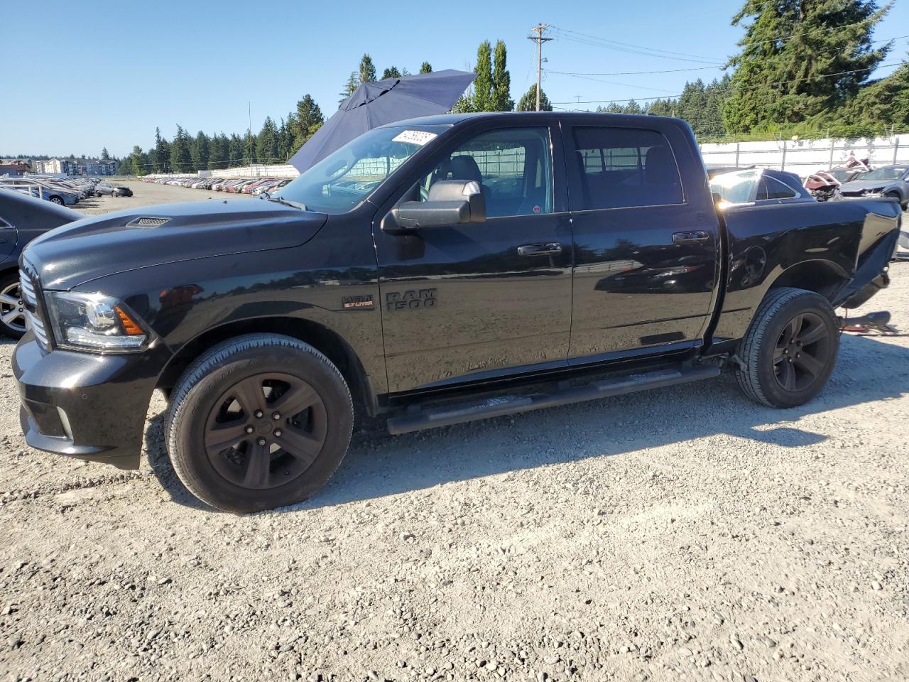 RAM 1500 SPORT  *1C6RR7MT1FS765801*