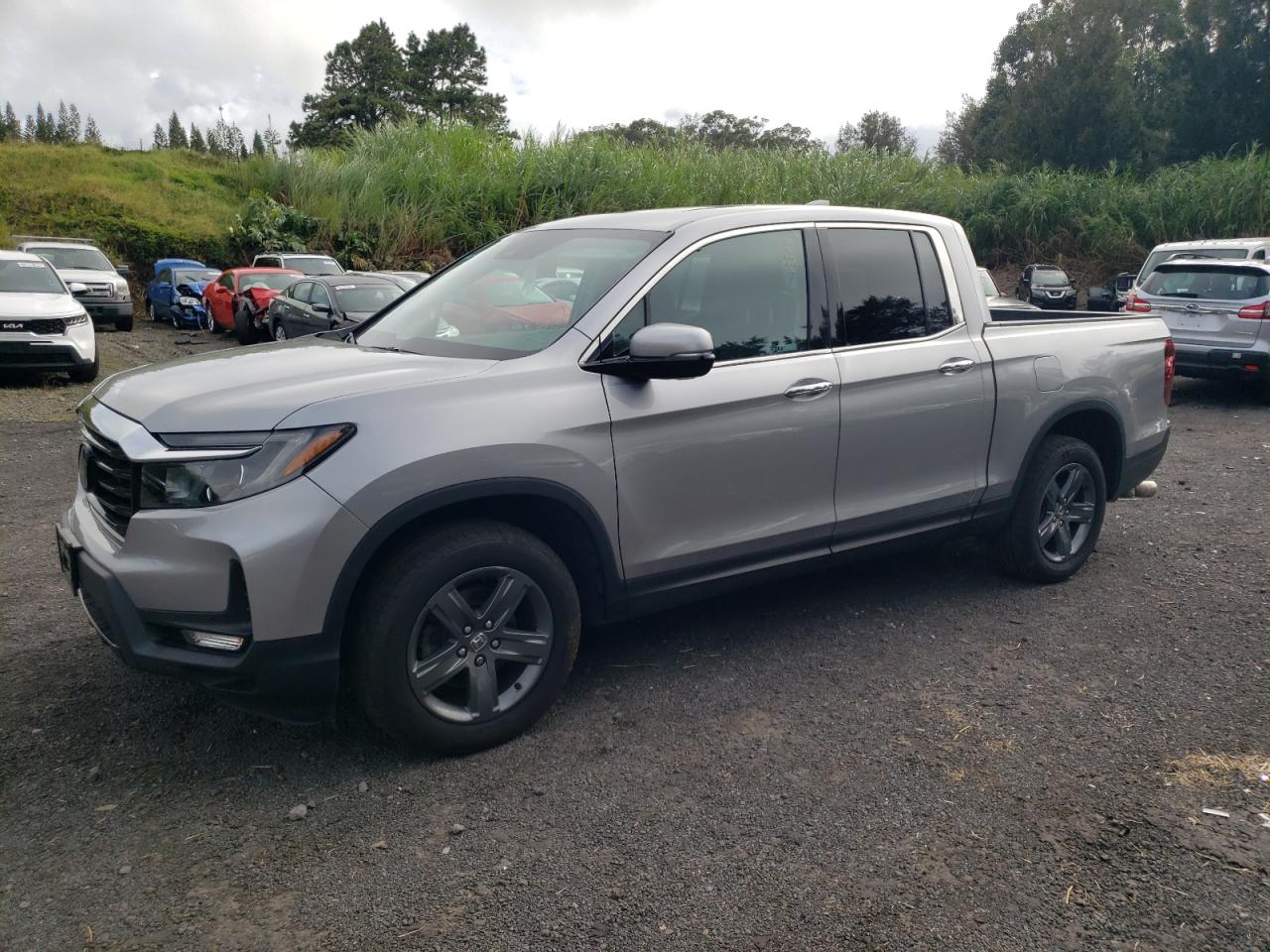 HONDA RIDGELINE   *5FPYK3F70NB006044*