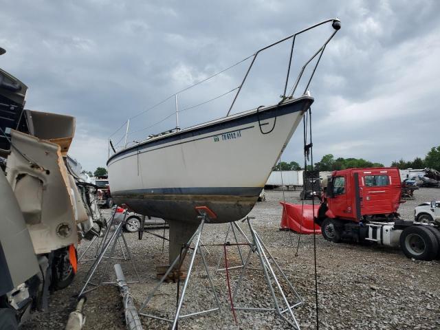 SAIL BOAT   *XDYN0454M83K*