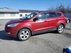 FORD ESCAPE SE   *1FMCU9GX6EUD55789*