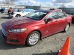 FORD FUSION SE   *3FA6P0LU2ER204154*