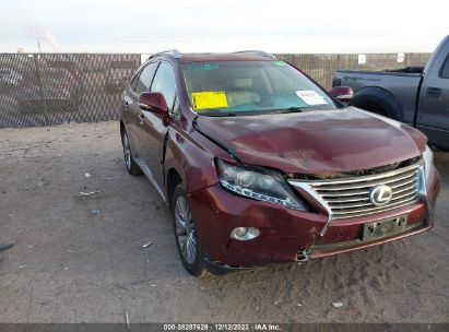 LEXUS RX 450H    *JTJBC1BA7D2443247*