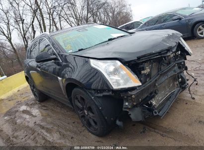 CADILLAC SRX PERFORMANCE COLLECTION  *3GYFNDE32DS556955*