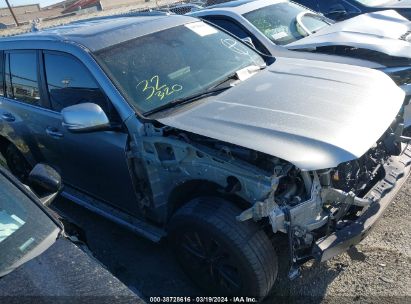 LEXUS 460 PREMIUM  *JTJAM7BXXN5317304*