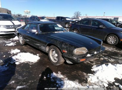 JAGUAR XJS    *SAJNV5844FC124647*