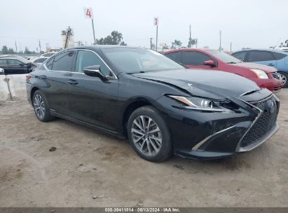 LEXUS ES 300H 300H BASE/300H LUXURY/300  *58ACA1C17MU007566*