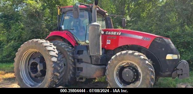 CASE-INTERNATIONAL MAGNUM 250   *ZERF09548*