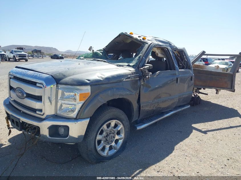 UNKNOWN F-350 XLT  *1FT8W3B68GEA18859*