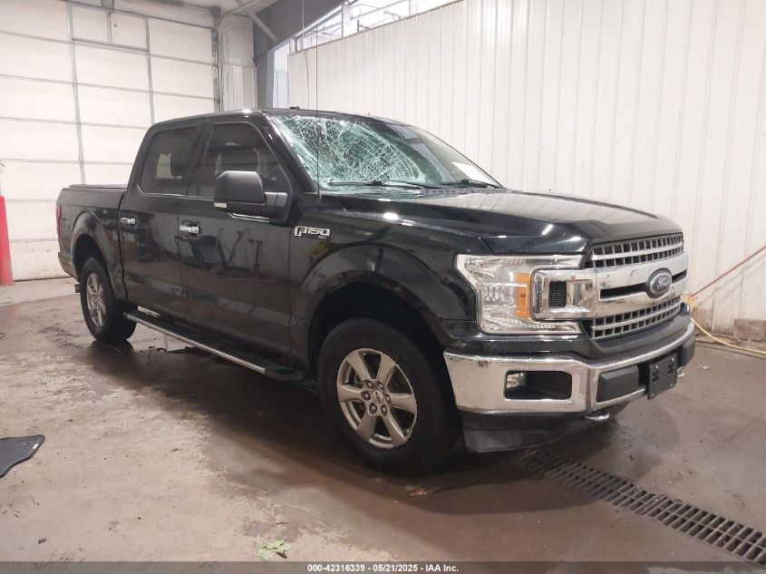 FORD F-150 XLT  *1FTEW1EP1JKF22383*