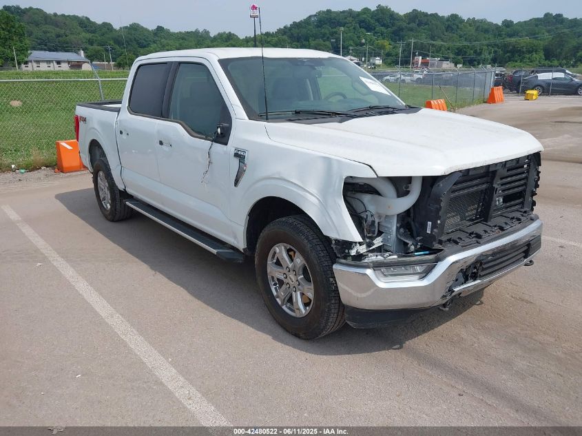 FORD F-150 XLT  *1FTFW1E5XPFB72417*