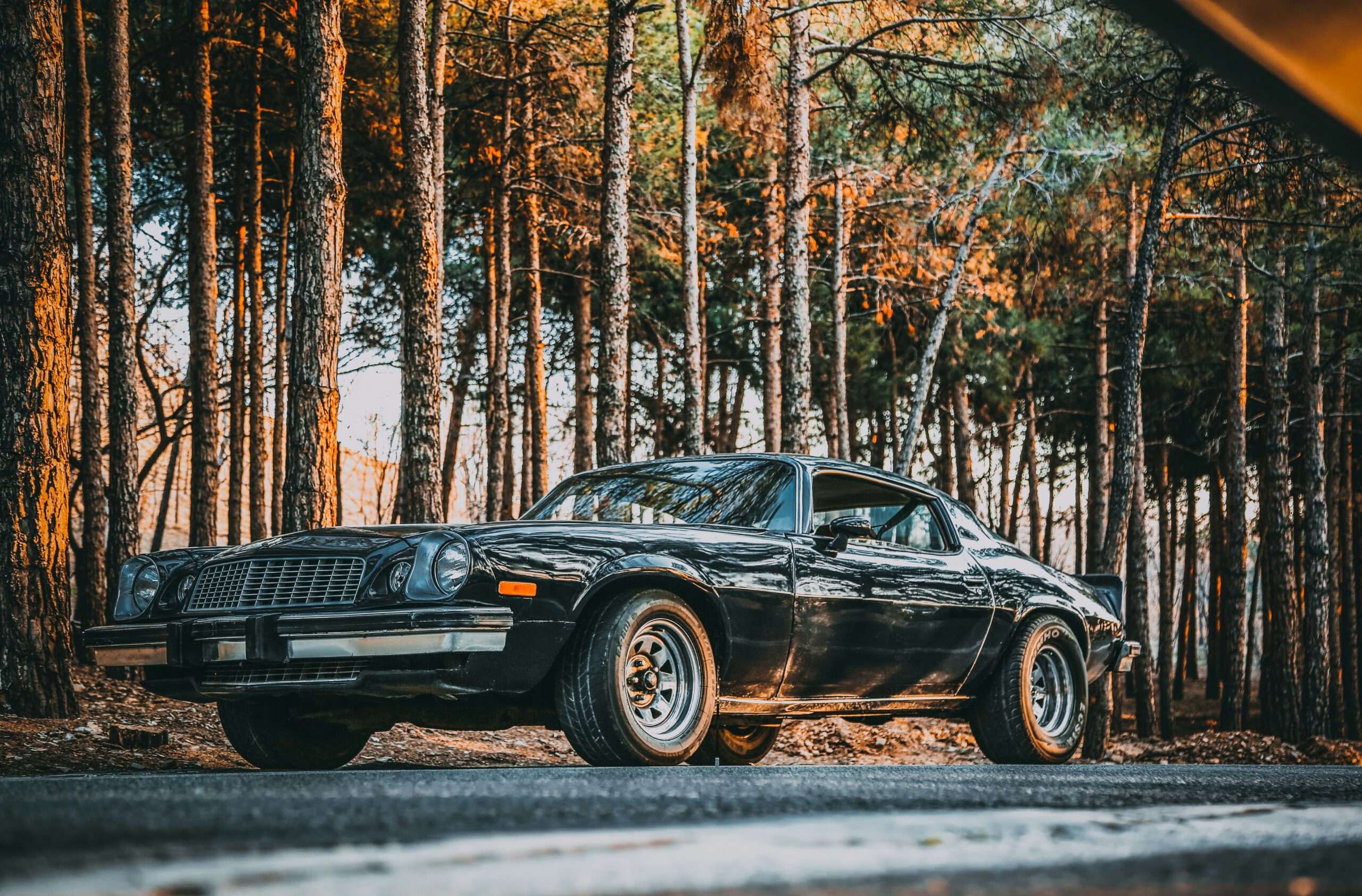 Unlocking the Thrill of Car Auctions in the USA